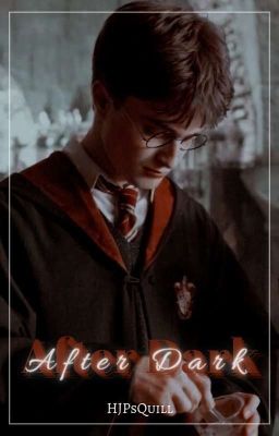 𝐀𝐟𝐭𝐞𝐫 𝐃𝐚𝐫𝐤 | Harry James Potter x Reader cover