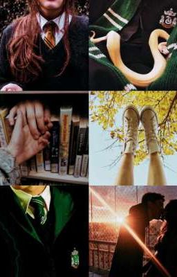 (Draco X Reader)The Slytherin's beloved Hufflepuff  cover